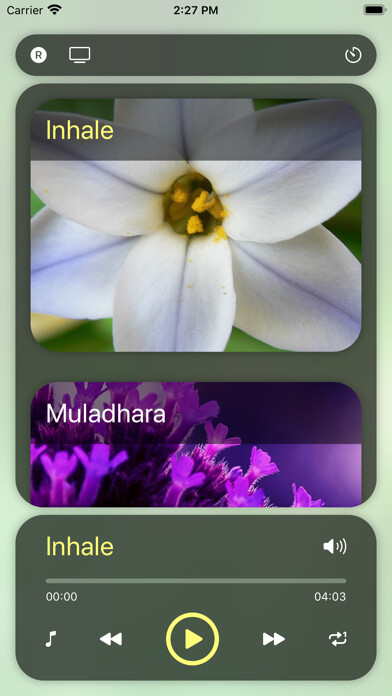 Emulate Android APK Pranic Healer Music Emulate Android APK Pranic Healer Music