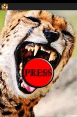 Emulate Android APK Prank Angry Cheetah