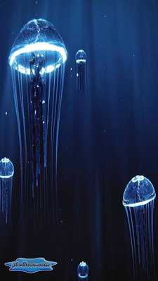 Emulate Android APK Precious Jellyfish 3D Hovering Under Deep Blue Sea Emulate Android APK Precious Jellyfish 3D Hovering Under Deep Blue Sea