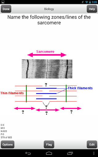 Run android online APK Pre-Med MCAT Flashcards Lite from MyAndroid or emulate Pre-Med MCAT Flashcards Lite using MyAndroid Run android online APK Pre-Med MCAT Flashcards Lite from MyAndroid or emulate Pre-Med MCAT Flashcards Lite using MyAndroid