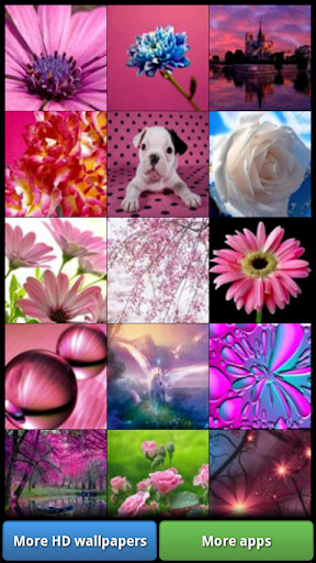 Run android online APK Pretty Pink Color HD Wallpaper from MyAndroid or emulate Pretty Pink Color HD Wallpaper using MyAndroid Run android online APK Pretty Pink Color HD Wallpaper from MyAndroid or emulate Pretty Pink Color HD Wallpaper using MyAndroid