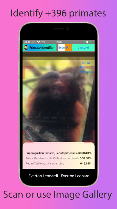 Emulate iPhone app Primate Identifier using MyAndroid