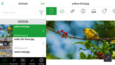 Run android online APK Pro-Cloud from MyAndroid or emulate Pro-Cloud using MyAndroid Run android online APK Pro-Cloud from MyAndroid or emulate Pro-Cloud using MyAndroid