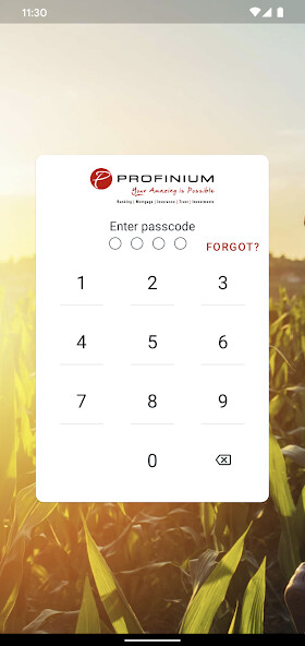Run android online APK Profinium from MyAndroid or emulate Profinium using MyAndroid