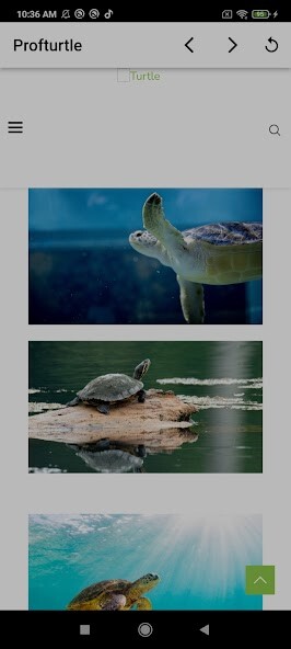 Run android online APK Profturtle from MyAndroid or emulate Profturtle using MyAndroid Run android online APK Profturtle from MyAndroid or emulate Profturtle using MyAndroid