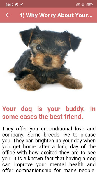 Run android online APK Proper diet for happy dogs from MyAndroid or emulate Proper diet for happy dogs using MyAndroid Run android online APK Proper diet for happy dogs from MyAndroid or emulate Proper diet for happy dogs using MyAndroid