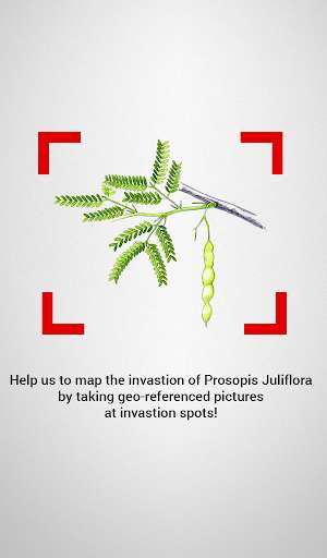 Run android online APK Prosopis from MyAndroid or emulate Prosopis using MyAndroid