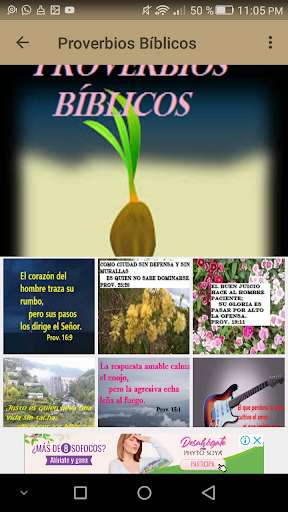 Emulate Android APK Proverbios_biblicos Emulate Android APK Proverbios_biblicos