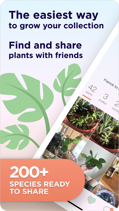 Emulate iPhone app Prōpa - Find Rare Houseplants using MyAndroid Emulate iPhone app Prōpa - Find Rare Houseplants using MyAndroid