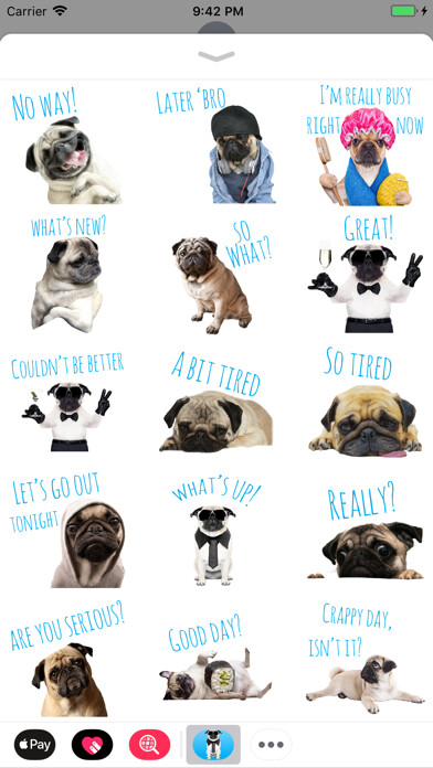 Emulate iPhone app Pug Life using MyAndroid
