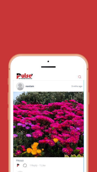 Emulate iPhone app Pulse P3 using MyAndroid Emulate iPhone app Pulse P3 using MyAndroid