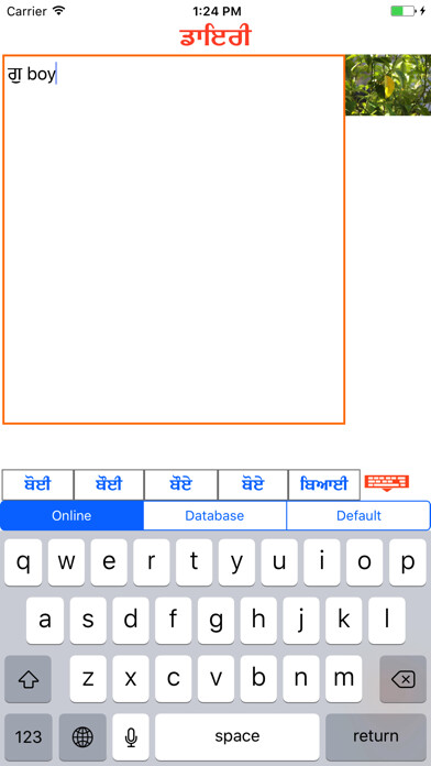 Emulate iPhone app Punjabi Diary using MyAndroid