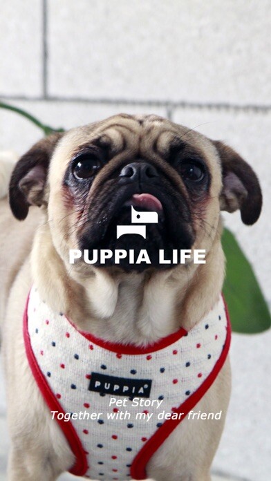 Emulate iPhone app Puppia using MyAndroid Emulate iPhone app Puppia using MyAndroid
