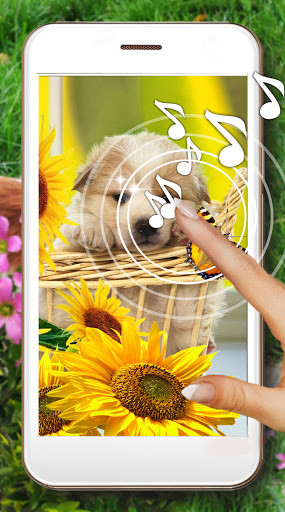 Run android online APK Puppies and Flowers from MyAndroid or emulate Puppies and Flowers using MyAndroid