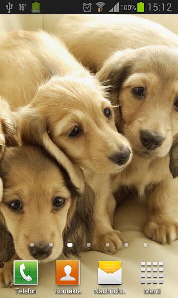 Run android online APK Puppies dogs live wallpaper from MyAndroid or emulate Puppies dogs live wallpaper using MyAndroid Run android online APK Puppies dogs live wallpaper from MyAndroid or emulate Puppies dogs live wallpaper using MyAndroid