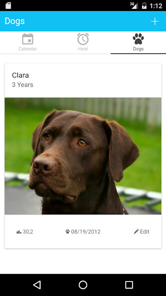 Run android online APK Puppies - Heat Cycle (Estrus) from MyAndroid or emulate Puppies - Heat Cycle (Estrus) using MyAndroid Run android online APK Puppies - Heat Cycle (Estrus) from MyAndroid or emulate Puppies - Heat Cycle (Estrus) using MyAndroid
