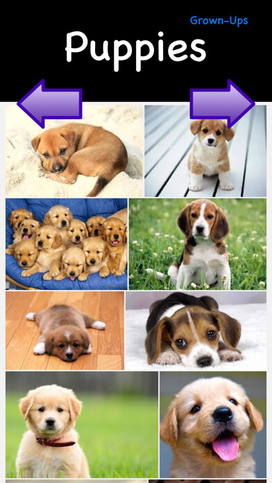 Emulate iPhone app Puppies & Ponies: Kid Safe Image Browser using MyAndroid Emulate iPhone app Puppies & Ponies: Kid Safe Image Browser using MyAndroid