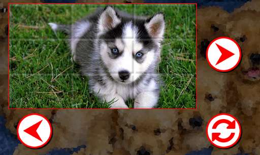 Emulate Android APK Puppies Puzzles