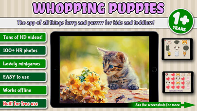 Emulate iPhone app Puppies, Whopping Puppies - furry fun for kids! using MyAndroid