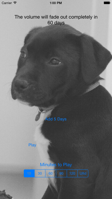 Emulate iPhone app Puppy Calmer using MyAndroid Emulate iPhone app Puppy Calmer using MyAndroid