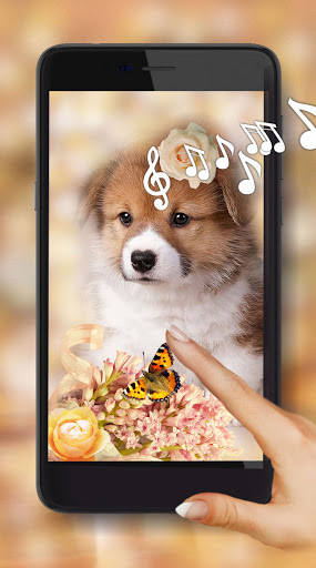 Run android online APK Puppy Cool Live Wallpaper from MyAndroid or emulate Puppy Cool Live Wallpaper using MyAndroid Run android online APK Puppy Cool Live Wallpaper from MyAndroid or emulate Puppy Cool Live Wallpaper using MyAndroid