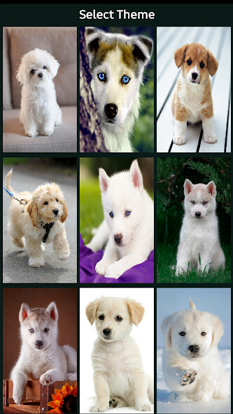 Emulate Android APK Puppy Dog Lock Screen Emulate Android APK Puppy Dog Lock Screen
