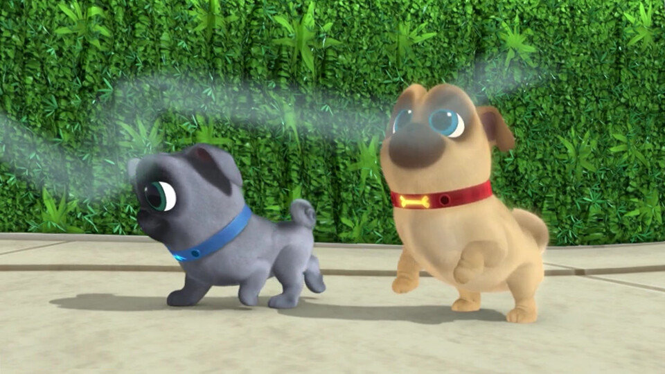 Run android online APK Puppy dog Run World PaLs from MyAndroid or emulate Puppy dog Run World PaLs using MyAndroid Run android online APK Puppy dog Run World PaLs from MyAndroid or emulate Puppy dog Run World PaLs using MyAndroid