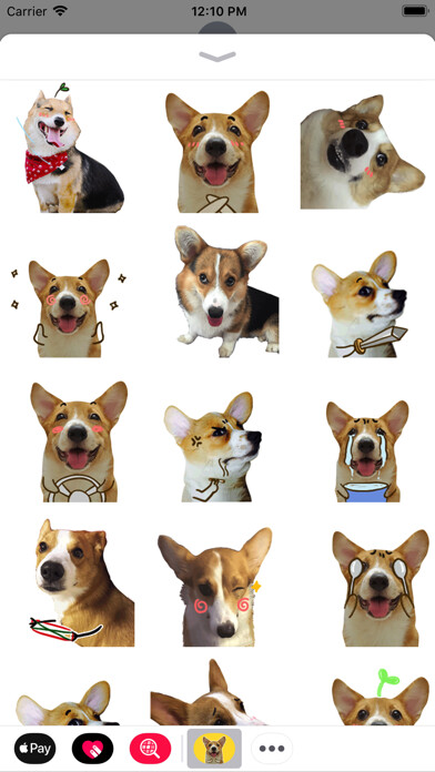 Emulate iPhone app Puppy Face Animated Stickers using MyAndroid