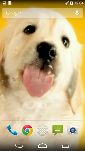 Emulate Android APK Puppy Licks Screen Emulate Android APK Puppy Licks Screen