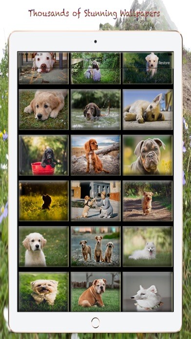 Emulate iPhone app Puppy Photos & Wallpapers using MyAndroid Emulate iPhone app Puppy Photos & Wallpapers using MyAndroid