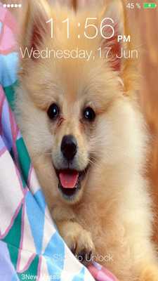 Emulate Android APK Puppy Pin Lock Screen