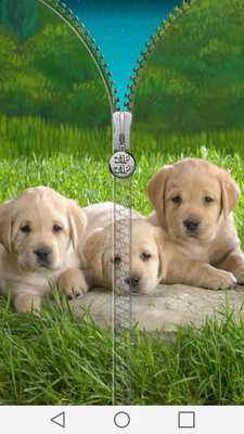 Emulate Android APK Puppy Zipper Screen