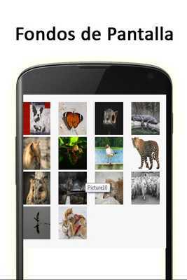 Emulate Android APK Purdue University Northwest Emulate Android APK Purdue University Northwest