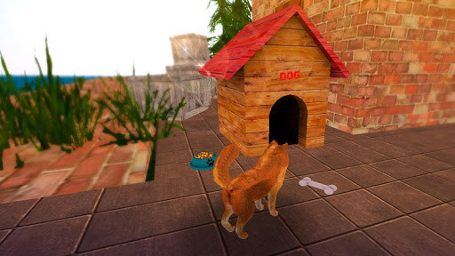 Run android online APK Pure Breed Miniature Dog Life Sim from MyAndroid or emulate Pure Breed Miniature Dog Life Sim using MyAndroid