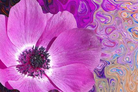 Emulate Android APK purple color wallpaper