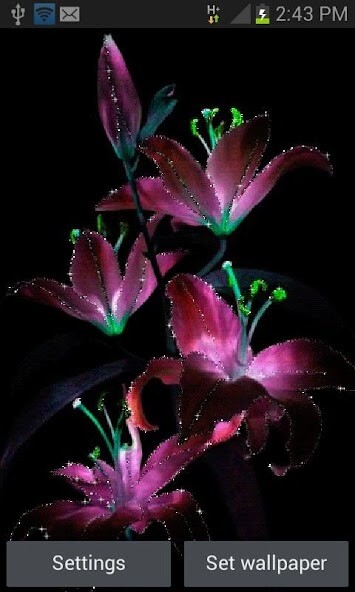 Emulate Android APK Purple Flowers Live Wallpaper Emulate Android APK Purple Flowers Live Wallpaper