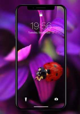 Emulate Android APK Purple Flower Wallpaper HD Emulate Android APK Purple Flower Wallpaper HD