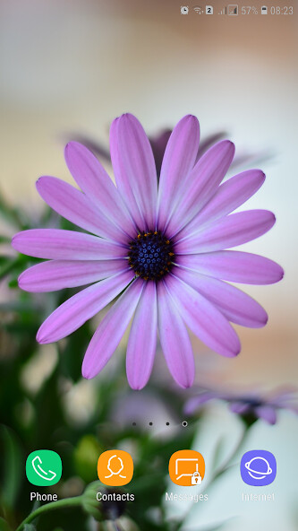Run android online APK Purple Flower Wallpaper from MyAndroid or emulate Purple Flower Wallpaper using MyAndroid