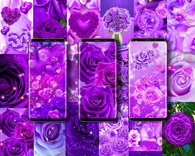 Run android online APK Purple Rose Live Wallpaper from MyAndroid or emulate Purple Rose Live Wallpaper using MyAndroid Run android online APK Purple Rose Live Wallpaper from MyAndroid or emulate Purple Rose Live Wallpaper using MyAndroid