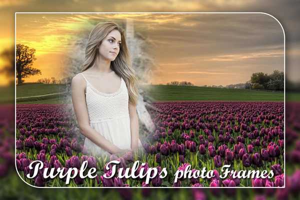Emulate Android APK Purple Tulips Photo Frame