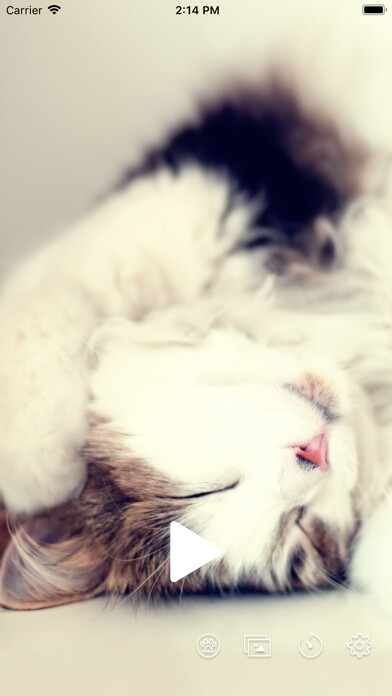 Emulate iPhone app 猫ゴロゴロ - Purring BGM using MyAndroid Emulate iPhone app 猫ゴロゴロ - Purring BGM using MyAndroid