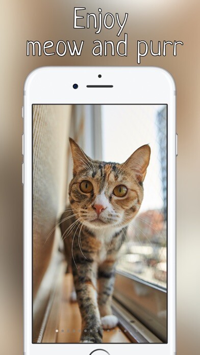 Emulate iPhone app Purr Meow - ?at meow sounds free app using MyAndroid Emulate iPhone app Purr Meow - ?at meow sounds free app using MyAndroid