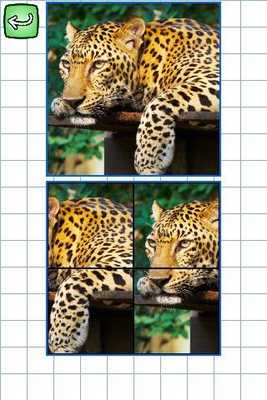 Emulate Android APK PuzzleAnimals: English-French Emulate Android APK PuzzleAnimals: English-French