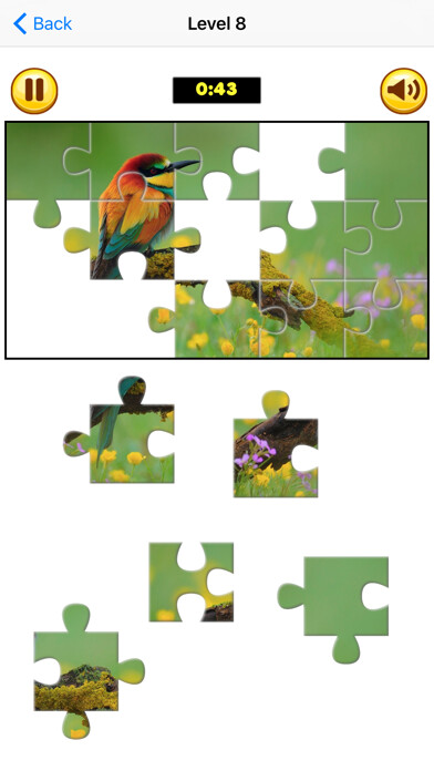 Emulate iPhone app Puzzle Collection: Animals using MyAndroid