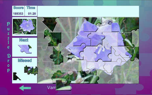 Emulate Android APK Puzzle Drop - Flower Set Emulate Android APK Puzzle Drop - Flower Set