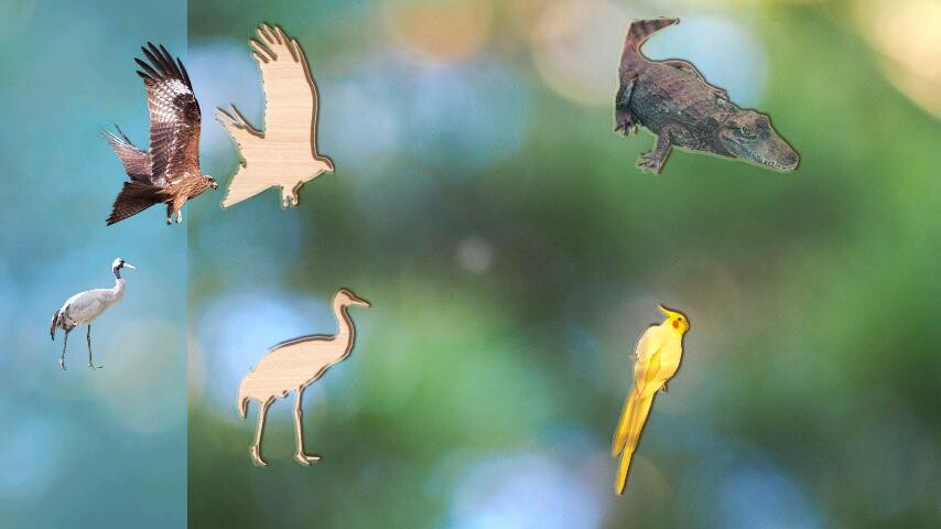 Run android online APK Puzzle Game Animals Birds and Fish for Toddlers from MyAndroid or emulate Puzzle Game Animals Birds and Fish for Toddlers using MyAndroid