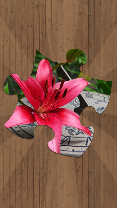 Emulate iPhone app Puzzle Games for Girls using MyAndroid Emulate iPhone app Puzzle Games for Girls using MyAndroid