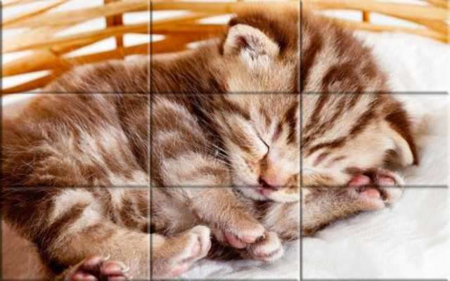 Emulate Android APK Puzzle - kittens Emulate Android APK Puzzle - kittens