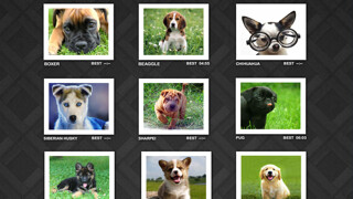 Emulate iPhone app Puzzler Puppies using MyAndroid Emulate iPhone app Puzzler Puppies using MyAndroid