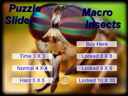 Run android online APK Puzzle Slider Macro Insects from MyAndroid or emulate Puzzle Slider Macro Insects using MyAndroid